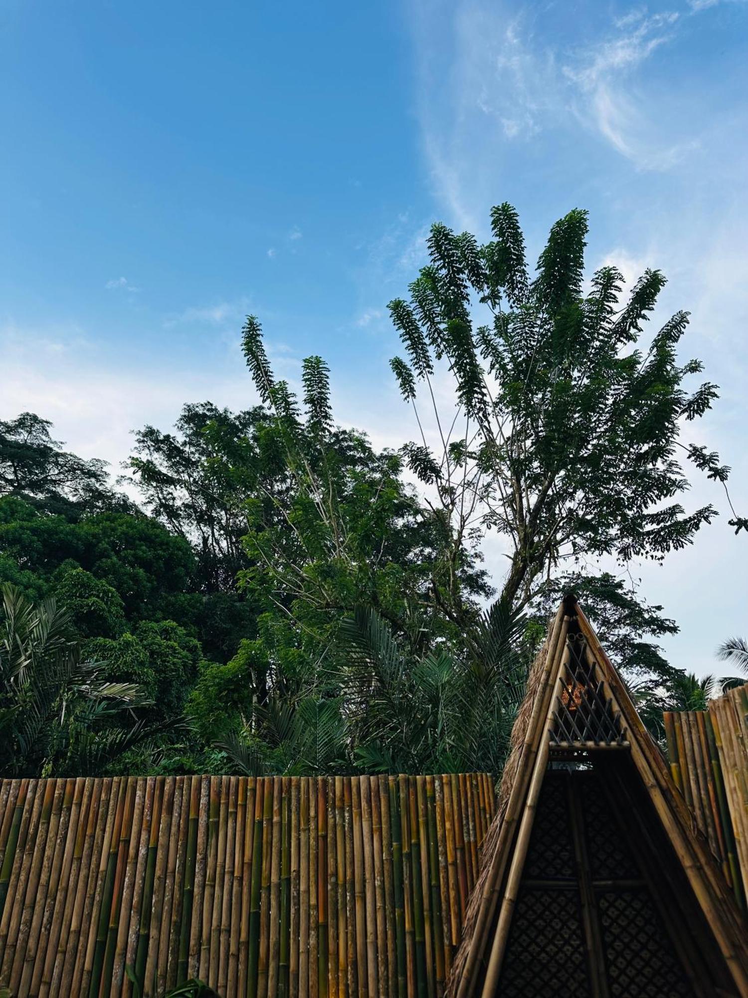 Bamboo House - Ecobreeze Sidemen (Bali) Exterior foto